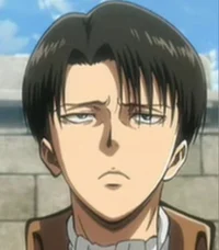Levi Ackerman 