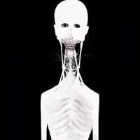 The Boy And The Bath