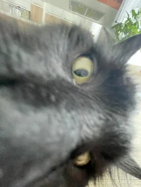 Ugh this butch again