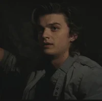 steve harrington