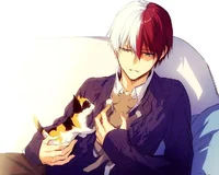 Shoto Todoroki 