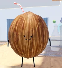 Coconut