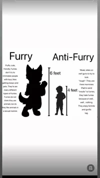 Furry vs anti furry 