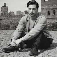 Sebastian stan 