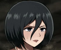 Slob Mikasa