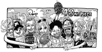 Strawhats 20 Y T-S