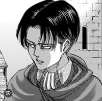 Леви Аккерман