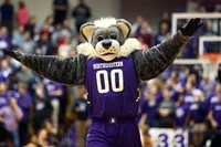 Willie the Wildcat