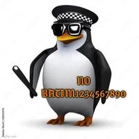 No batim12345 police