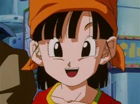 Pan GT
