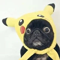 Pokemon fan 