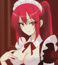 Bully Maid