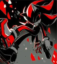 Shadow the Hedgehog