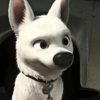 Bolt