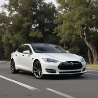 Vegan Tesla Driver