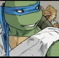 IDW Leonardo 