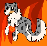 Amber