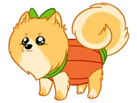 Pumpkin The Pumperan
