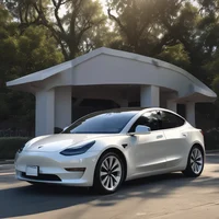Tesla driver