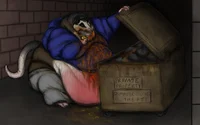 Josh the Opossum