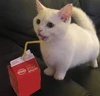 juice cat