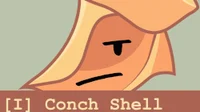 Conch Shell