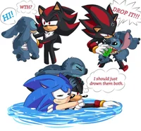 Shadow the hedgehog 