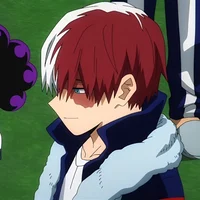 Shoto Todoroki 