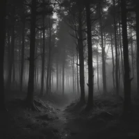 20 minutes till dawn