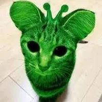 alien cat 