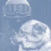 014 - HASU HIGANBANA