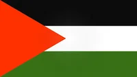Palestine Protester