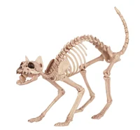 skeleton cat