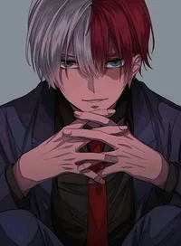 Shoto Todoroki 