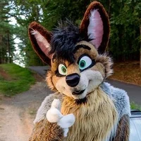 Hyperative Wolf