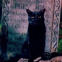 Thackery Binx