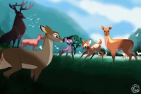 Deer Life