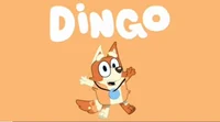 Dingo
