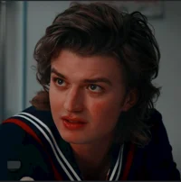 Steve Harrington 