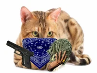 Gangster cat