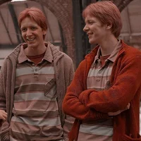 The Weasley Twins 