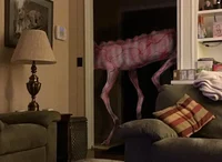 Unannounced housegue