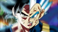 Vegeta and Goku