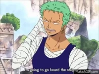 Zoro and SH Crew