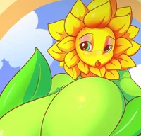 Alyssa Sunflower