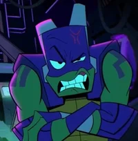 Donnie rottmnt 