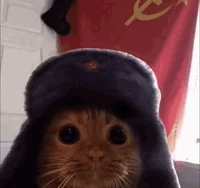 Soviet cat