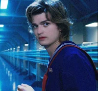 Steve Harrington 