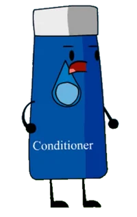 Conditioner