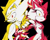 Blaze and Sonic